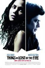 Watch Things We Lost in the Fire Putlocker