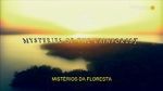 Watch Mysteries of the Rainforest Putlocker