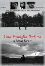 Watch A Perfect Family Putlocker