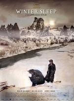 Watch Somn de iarnã Putlocker