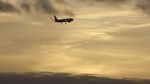 Watch The Man Who Fell from the Sky Putlocker