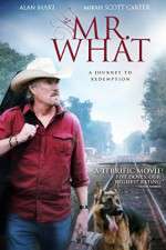 Watch Mr What Putlocker