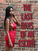 Watch The Last Days of an Escort Putlocker