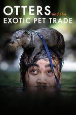 Watch Otters and the Exotic Pet Trade Putlocker