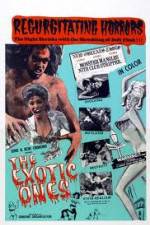 Watch The Exotic Ones Putlocker