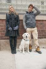 Watch Who Gets the Dog? Putlocker