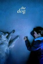 Watch The Dog Putlocker