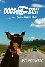 Watch Dogs on the Run Putlocker
