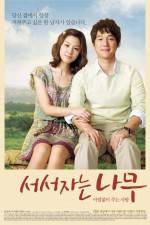 Watch Sleeping Tree Putlocker