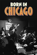 Watch Born In Chicago Putlocker