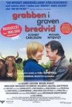 Watch The Guy in the Grave Next Door Putlocker