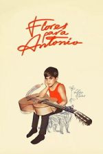 Watch Flores para Antonio Putlocker