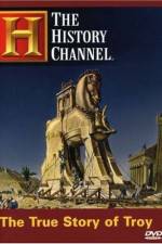 Watch The True Story of Troy Putlocker