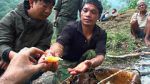 Watch Hallucinogen Honey Hunters (Short 2011) Putlocker