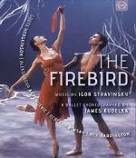Watch The Firebird Putlocker