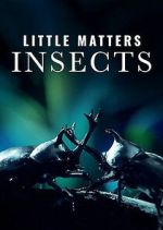 Watch Little Matters: Insects Putlocker