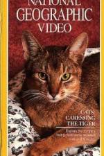 Watch Cats Caressing the Tiger Putlocker