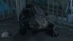 Watch Croc! Putlocker