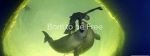 Watch Born to Be Free Putlocker