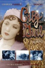 Watch Die Frau aus Chicago Putlocker