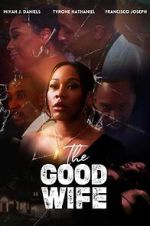 Watch The Good Wife Putlocker