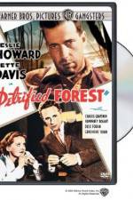 Watch The Petrified Forest Putlocker