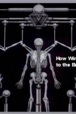 Watch How Wings Are Attached to the Backs of Angels Putlocker