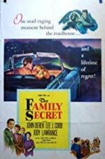 Watch The Family Secret Putlocker