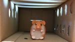 Watch Hamster Hell (Short 2012) Putlocker