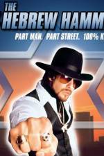 Watch The Hebrew Hammer Putlocker