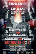 Watch World Series of Fighting 15: Branch vs. Okami Putlocker