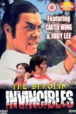 Watch Yong zheng ming zhang Shao Lin men Putlocker