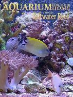 Watch Aquarium for Your Home: Saltwater Reef Putlocker