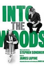 Watch Into the Woods Putlocker