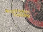 Watch Aberrant Forms: A Jurassic Short Putlocker