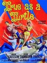 Watch True as a Turtle Putlocker