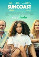 Watch Suncoast Putlocker