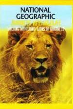 Watch National Geographic: Walking with Lions Putlocker