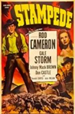 Watch Stampede Putlocker