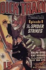 Watch Dick Tracy Putlocker