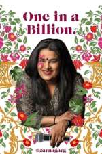 Watch Zarna Garg: One in a Billion Putlocker
