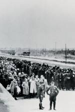 Watch AUSCHWITZ: SURPRISING BEGINNINGS Putlocker