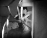 Watch Remember Me, My Ghost (Short 2011) Putlocker