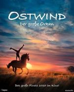 Watch Windstorm: The Great Hurricane Putlocker