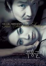 Watch The Scarlet Letter Putlocker