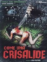 Watch Symphony in Blood Red Putlocker