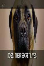 Watch Dogs: Their Secret Lives Putlocker