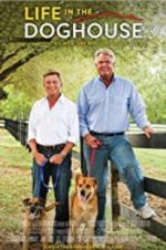 Watch Life in the Doghouse Putlocker