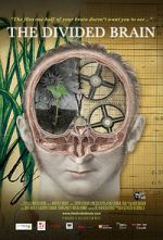 Watch The Divided Brain Putlocker