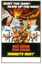 Watch Hornets' Nest Putlocker